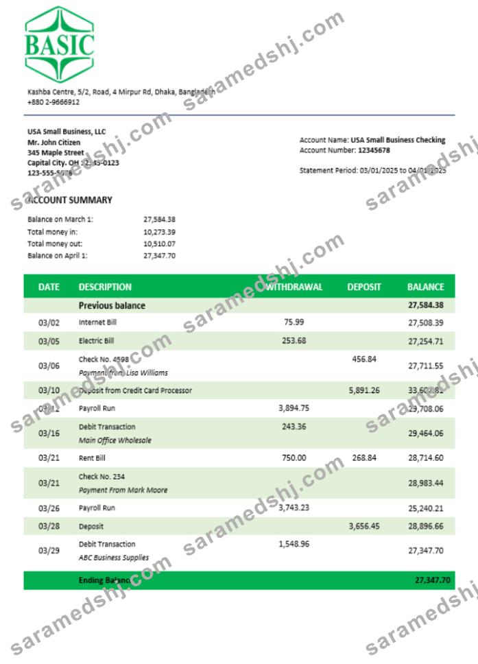 Basic Bank enterprise account statement Word and PDF template